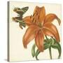 Garden Delight V-null-Stretched Canvas