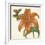 Garden Delight V-null-Framed Art Print