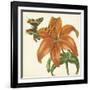 Garden Delight V-null-Framed Art Print