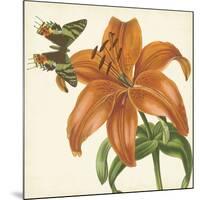 Garden Delight V-null-Mounted Art Print