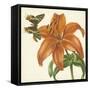 Garden Delight V-null-Framed Stretched Canvas