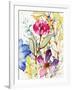 Garden Delight-Lanie Loreth-Framed Art Print