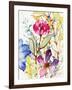 Garden Delight-Lanie Loreth-Framed Art Print