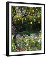 Garden Detail, San Domenico Palace Hotel, Taormina, Sicily, Italy-Walter Bibikow-Framed Premium Photographic Print