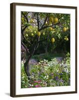 Garden Detail, San Domenico Palace Hotel, Taormina, Sicily, Italy-Walter Bibikow-Framed Premium Photographic Print
