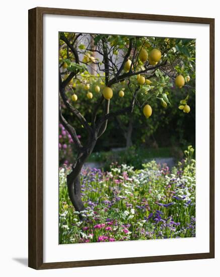 Garden Detail, San Domenico Palace Hotel, Taormina, Sicily, Italy-Walter Bibikow-Framed Premium Photographic Print