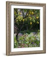 Garden Detail, San Domenico Palace Hotel, Taormina, Sicily, Italy-Walter Bibikow-Framed Photographic Print