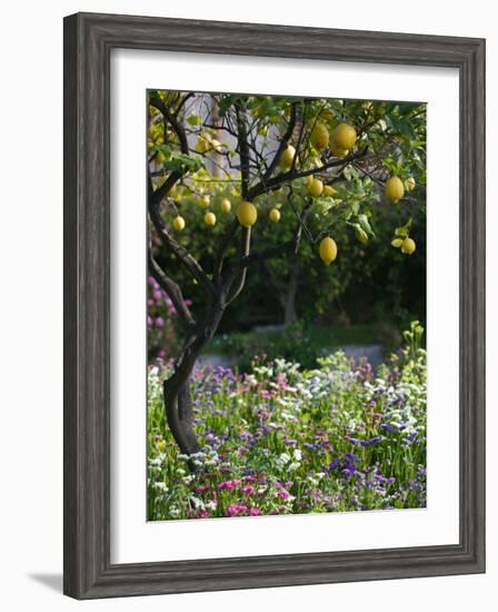 Garden Detail, San Domenico Palace Hotel, Taormina, Sicily, Italy-Walter Bibikow-Framed Photographic Print