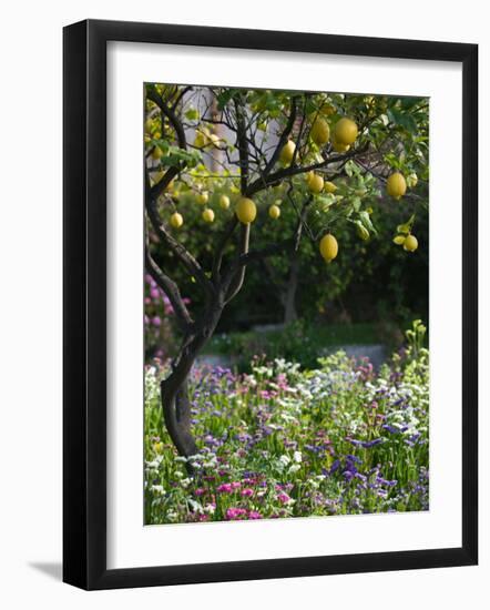 Garden Detail, San Domenico Palace Hotel, Taormina, Sicily, Italy-Walter Bibikow-Framed Photographic Print