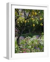 Garden Detail, San Domenico Palace Hotel, Taormina, Sicily, Italy-Walter Bibikow-Framed Photographic Print