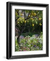 Garden Detail, San Domenico Palace Hotel, Taormina, Sicily, Italy-Walter Bibikow-Framed Photographic Print