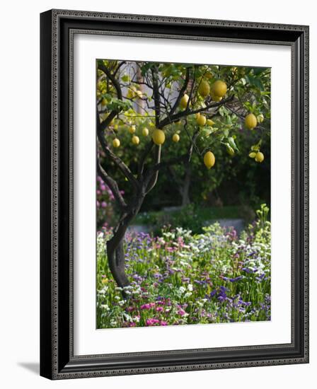 Garden Detail, San Domenico Palace Hotel, Taormina, Sicily, Italy-Walter Bibikow-Framed Photographic Print