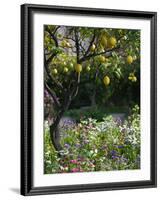 Garden Detail, San Domenico Palace Hotel, Taormina, Sicily, Italy-Walter Bibikow-Framed Photographic Print