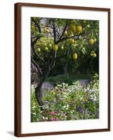 Garden Detail, San Domenico Palace Hotel, Taormina, Sicily, Italy-Walter Bibikow-Framed Photographic Print