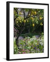 Garden Detail, San Domenico Palace Hotel, Taormina, Sicily, Italy-Walter Bibikow-Framed Photographic Print