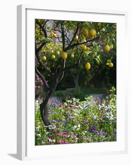 Garden Detail, San Domenico Palace Hotel, Taormina, Sicily, Italy-Walter Bibikow-Framed Photographic Print