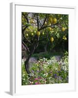 Garden Detail, San Domenico Palace Hotel, Taormina, Sicily, Italy-Walter Bibikow-Framed Photographic Print