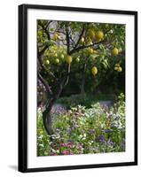 Garden Detail, San Domenico Palace Hotel, Taormina, Sicily, Italy-Walter Bibikow-Framed Photographic Print