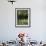 Garden Detail, San Domenico Palace Hotel, Taormina, Sicily, Italy-Walter Bibikow-Framed Photographic Print displayed on a wall