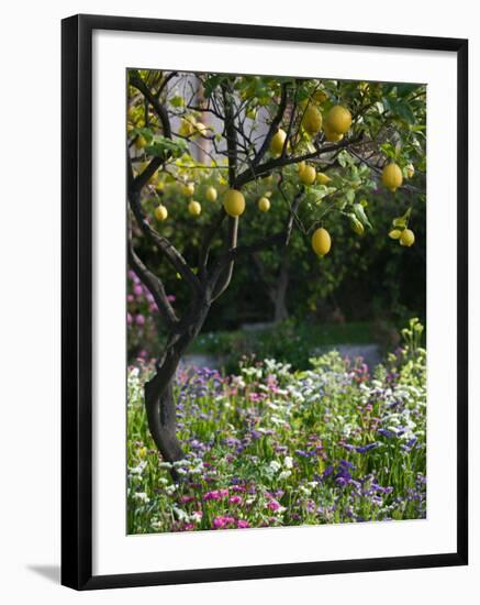 Garden Detail, San Domenico Palace Hotel, Taormina, Sicily, Italy-Walter Bibikow-Framed Photographic Print