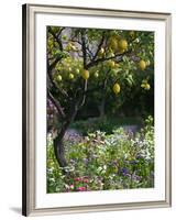 Garden Detail, San Domenico Palace Hotel, Taormina, Sicily, Italy-Walter Bibikow-Framed Photographic Print