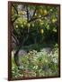 Garden Detail, San Domenico Palace Hotel, Taormina, Sicily, Italy-Walter Bibikow-Framed Photographic Print