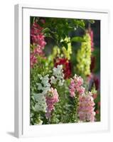 Garden Detail, San Domenico Palace Hotel, Taormina, Sicily, Italy-Walter Bibikow-Framed Photographic Print