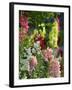 Garden Detail, San Domenico Palace Hotel, Taormina, Sicily, Italy-Walter Bibikow-Framed Photographic Print