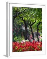 Garden Detail, San Domenico Palace Hotel, Taormina, Sicily, Italy-Walter Bibikow-Framed Photographic Print