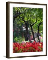 Garden Detail, San Domenico Palace Hotel, Taormina, Sicily, Italy-Walter Bibikow-Framed Photographic Print