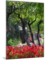 Garden Detail, San Domenico Palace Hotel, Taormina, Sicily, Italy-Walter Bibikow-Mounted Photographic Print