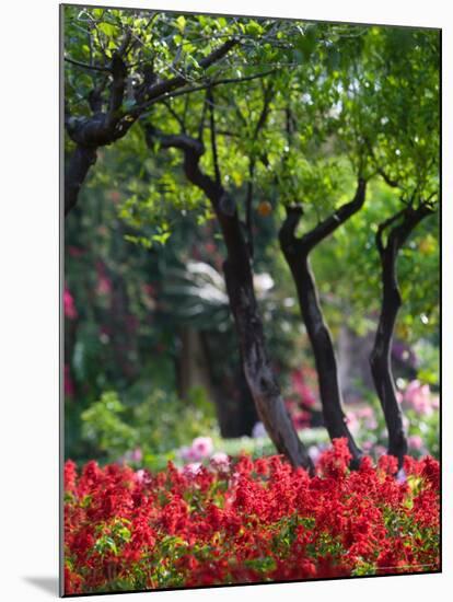 Garden Detail, San Domenico Palace Hotel, Taormina, Sicily, Italy-Walter Bibikow-Mounted Photographic Print