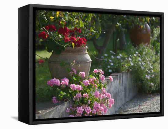 Garden Detail, San Domenico Palace Hotel, Taormina, Sicily, Italy-Walter Bibikow-Framed Stretched Canvas