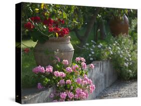 Garden Detail, San Domenico Palace Hotel, Taormina, Sicily, Italy-Walter Bibikow-Stretched Canvas