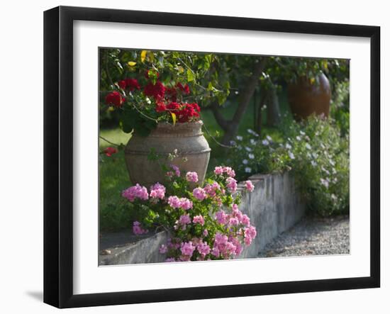 Garden Detail, San Domenico Palace Hotel, Taormina, Sicily, Italy-Walter Bibikow-Framed Photographic Print