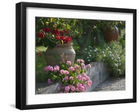 Garden Detail, San Domenico Palace Hotel, Taormina, Sicily, Italy-Walter Bibikow-Framed Photographic Print