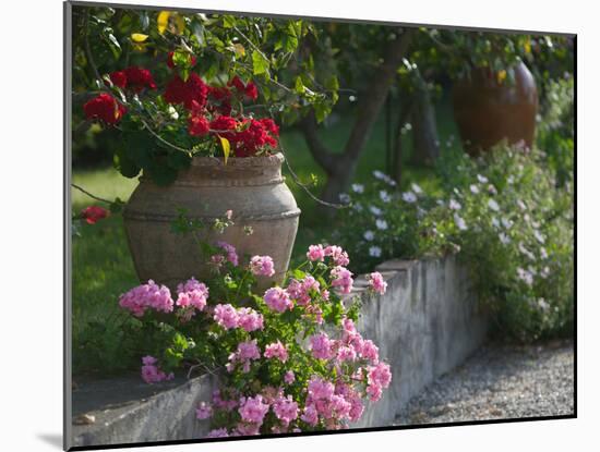 Garden Detail, San Domenico Palace Hotel, Taormina, Sicily, Italy-Walter Bibikow-Mounted Photographic Print