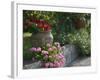 Garden Detail, San Domenico Palace Hotel, Taormina, Sicily, Italy-Walter Bibikow-Framed Photographic Print