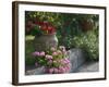 Garden Detail, San Domenico Palace Hotel, Taormina, Sicily, Italy-Walter Bibikow-Framed Photographic Print