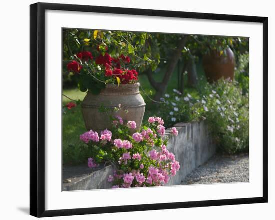 Garden Detail, San Domenico Palace Hotel, Taormina, Sicily, Italy-Walter Bibikow-Framed Photographic Print