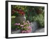 Garden Detail, San Domenico Palace Hotel, Taormina, Sicily, Italy-Walter Bibikow-Framed Photographic Print