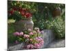 Garden Detail, San Domenico Palace Hotel, Taormina, Sicily, Italy-Walter Bibikow-Mounted Photographic Print