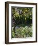 Garden Detail, San Domenico Palace Hotel, Taormina, Sicily, Italy-Walter Bibikow-Framed Photographic Print