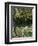 Garden Detail, San Domenico Palace Hotel, Taormina, Sicily, Italy-Walter Bibikow-Framed Photographic Print