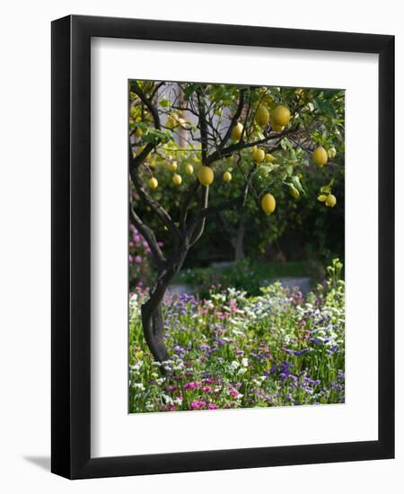 Garden Detail, San Domenico Palace Hotel, Taormina, Sicily, Italy-Walter Bibikow-Framed Photographic Print