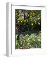 Garden Detail, San Domenico Palace Hotel, Taormina, Sicily, Italy-Walter Bibikow-Framed Photographic Print