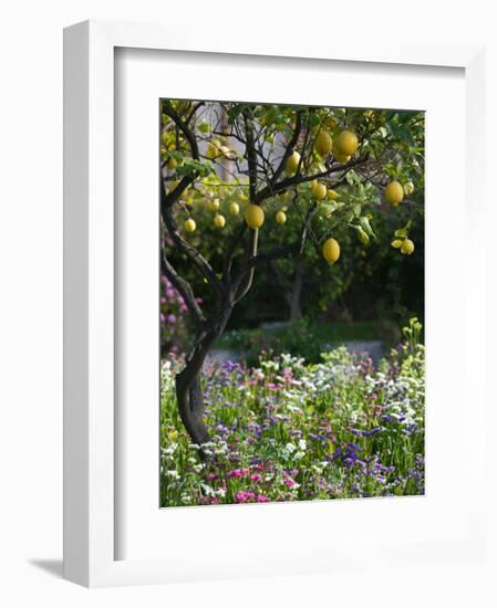 Garden Detail, San Domenico Palace Hotel, Taormina, Sicily, Italy-Walter Bibikow-Framed Photographic Print