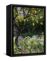 Garden Detail, San Domenico Palace Hotel, Taormina, Sicily, Italy-Walter Bibikow-Framed Stretched Canvas