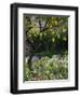 Garden Detail, San Domenico Palace Hotel, Taormina, Sicily, Italy-Walter Bibikow-Framed Premium Photographic Print