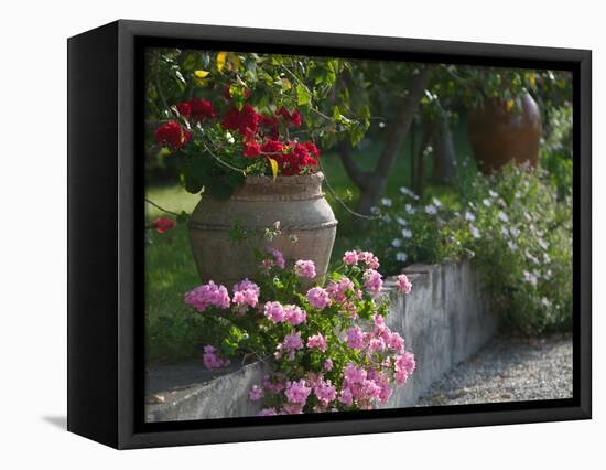 Garden Detail, San Domenico Palace Hotel, Taormina, Sicily, Italy-Walter Bibikow-Framed Stretched Canvas